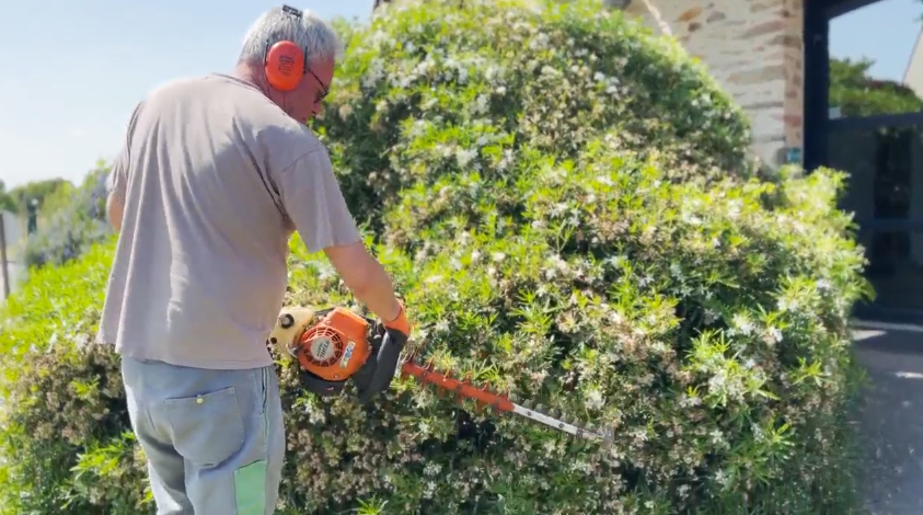 Ouvrier d'espaces verts taillant une haie 