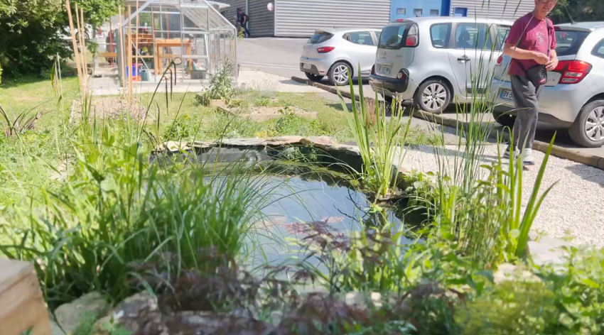 Etang, aménagement et création d'espaces verts